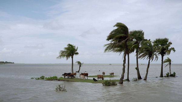 Klimakrise Global - Was tun gegen die Flut? - Klimakrise Global - Was tun gegen die Flut?