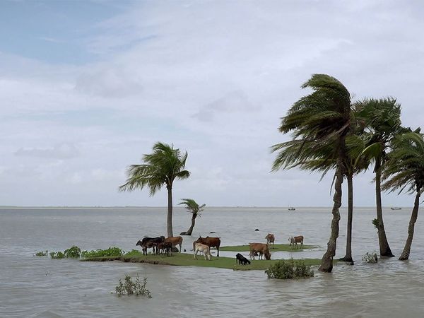 Klimakrise Global - Was tun gegen die Flut? - Klimakrise Global - Was tun gegen die Flut?