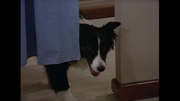 Die fliegenden Ärzte - Ein Hund und eine Tochter