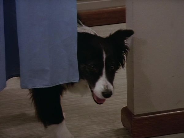 Die fliegenden Ärzte - Ein Hund und eine Tochter