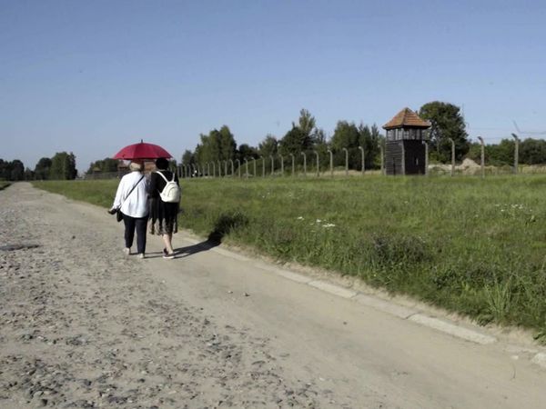Full Report Zoom - Meine ermordete Familie - Sinti im Holocaust / "Ich habe überlebt - Hitler nicht!" - Die Geschichte von Joseph Alexander