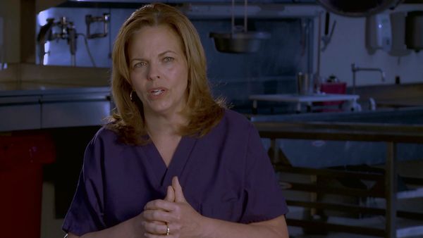 Dr. G: Medical Examiner - Vacaciones mortales