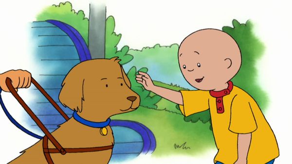 Caillou - The Treasure Chest // A Camping We Will Go // Chopsticks // A Special Dog