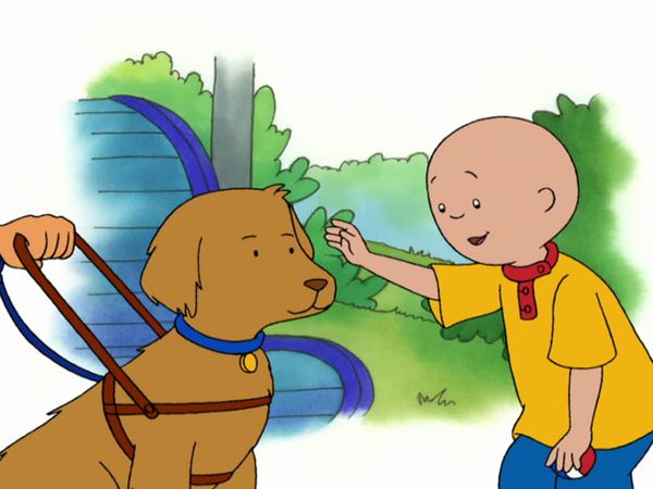 Caillou - The Treasure Chest // A Camping We Will Go // Chopsticks // A Special Dog