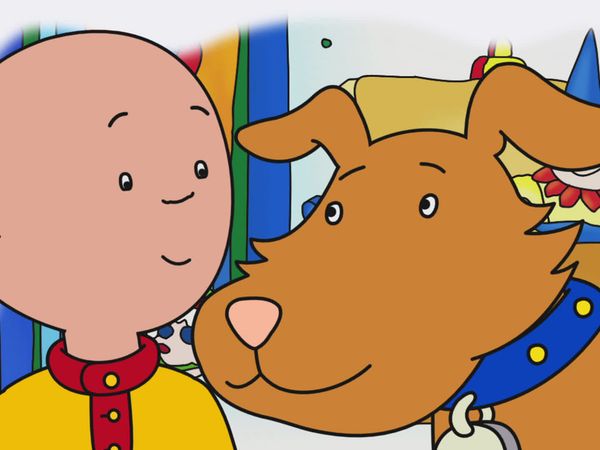 Caillou - Caillou's Cricket // Dog Dilemma // The Spider Issue