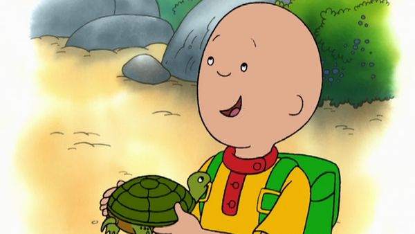 Caillou - One, Two, Boom! // Out of the Woods // House Paint // Caillou's Thanksgiving