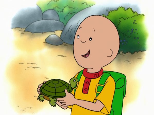 Caillou - One, Two, Boom! // Out of the Woods // House Paint // Caillou's Thanksgiving