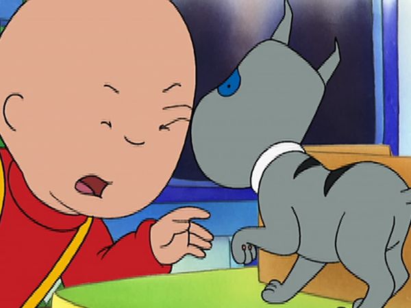 Caillou - Three's a Crowd // Get Well Soon // Shadow Play // A New Member of the Family