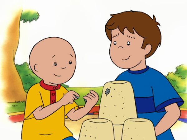 Caillou - Caillou's Cross Word // Caillou Meets Robbie // The Pinata // Caillou's Promise
