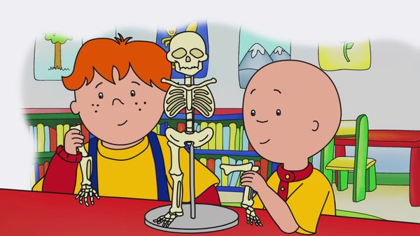 Caillou - Borrowed Book // Fixing Mr. Bones // Cailloudles