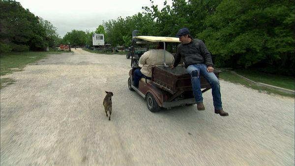 American Pickers - Tough Texas