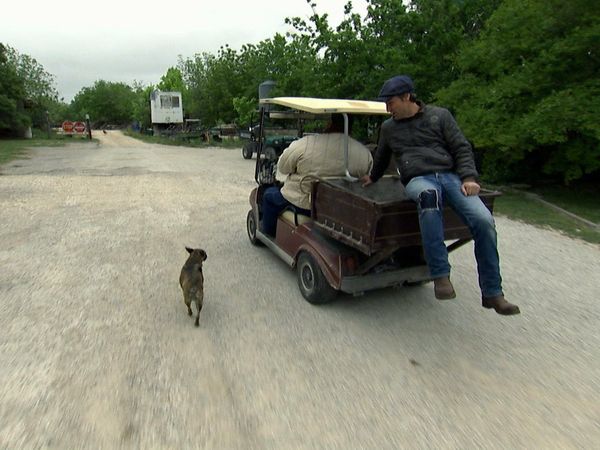 American Pickers - Tough Texas