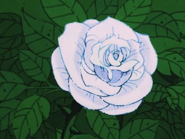 I Puffi - La rosa di Puffetta / Stanno puffando la nostra canzone
