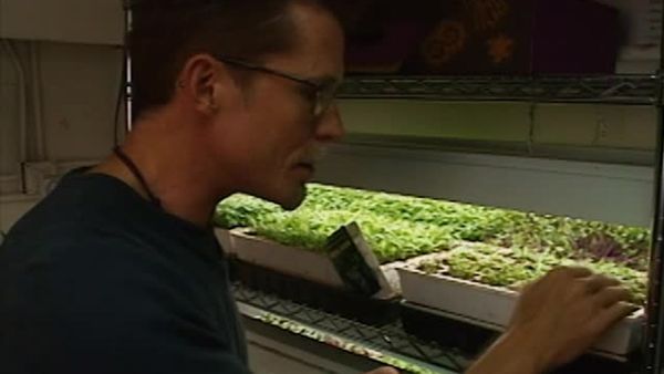 Mexico: One Plate at a Time with Rick Bayless - The Chili Trail