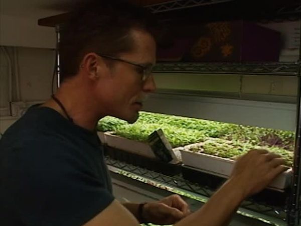 Mexico: One Plate at a Time with Rick Bayless - The Chili Trail