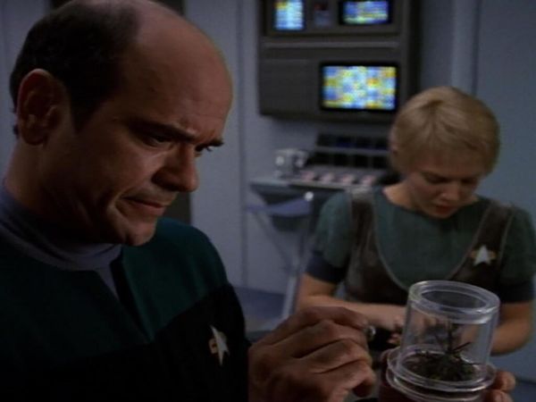 Star Trek: Voyager - Fuego Frío
