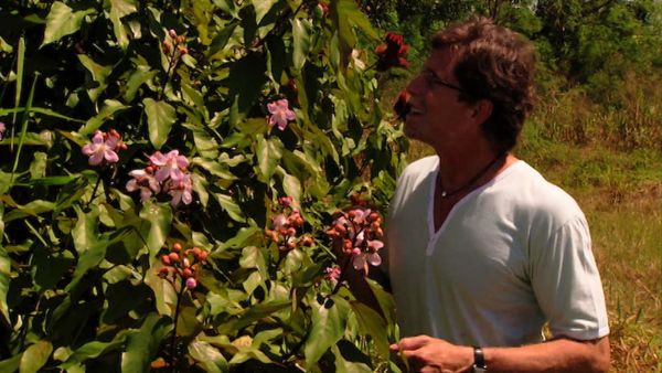Mexico: One Plate at a Time with Rick Bayless - Paste Sensations