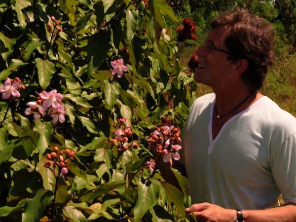 Mexico: One Plate at a Time with Rick Bayless - Paste Sensations