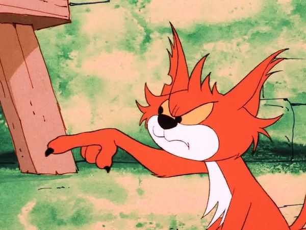 I Puffi - Un gatto geniale / La stellina dei desideri