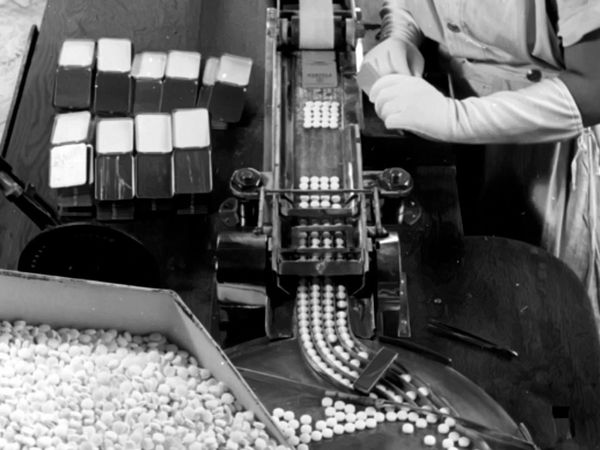 How the Nazis Lost the War - Drugs, Delusion, and Demise