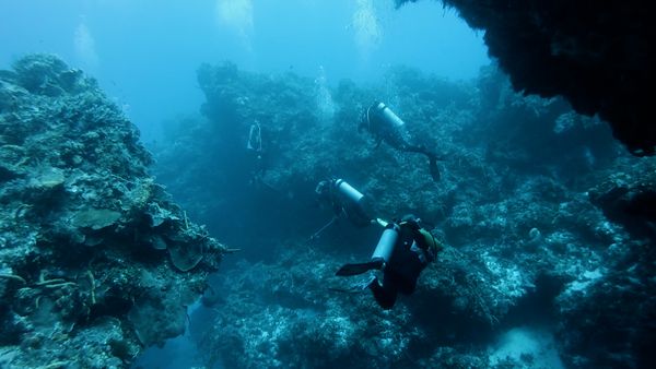 Mysterious Earth - Under the Sea
