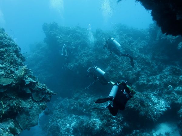 Mysterious Earth - Under the Sea