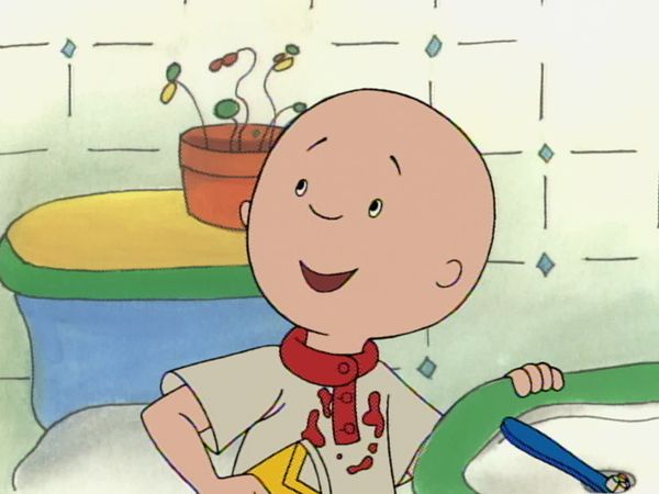 Caillou - Caillou at the Beach // Caillou's New Shoes // Caillou's Snowman // Caillou is a Clown // Caillou's Special Friend