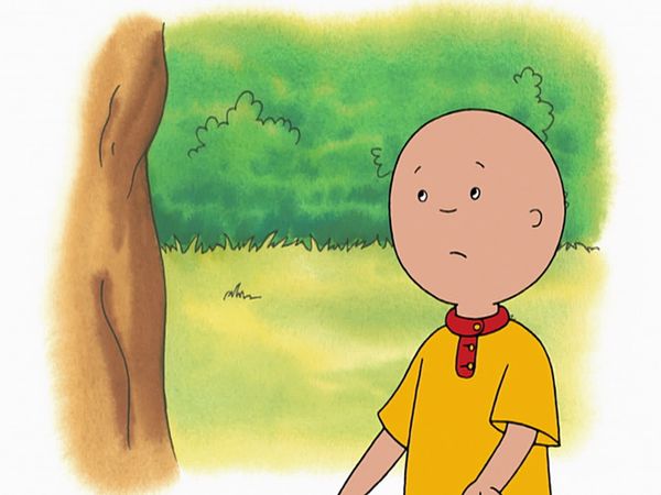 Caillou - Elephants! // Caillou and the Sheep // Caillou and the Puppies