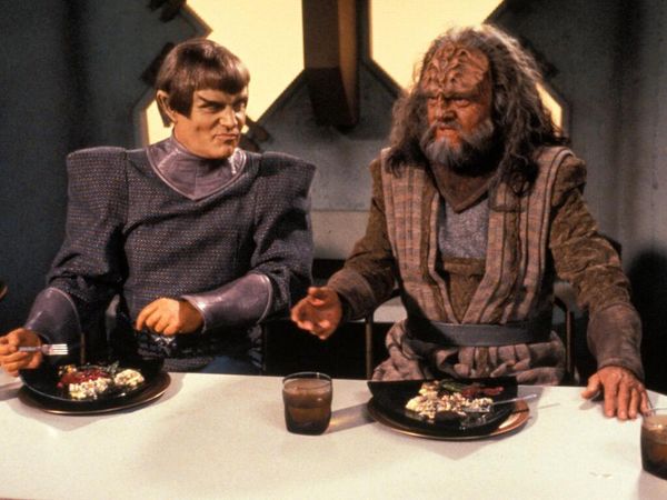 Star Trek: The Next Generation - Direito de Nascença, Parte II