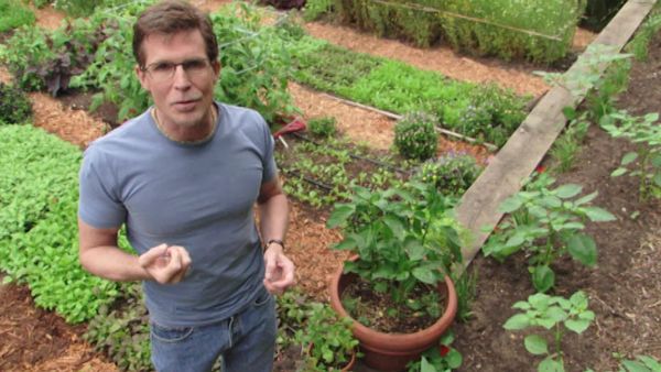 Mexico: One Plate at a Time with Rick Bayless - Tips and Salsa