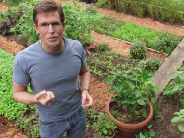 Mexico: One Plate at a Time with Rick Bayless - Tips and Salsa