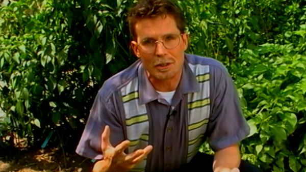 Mexico: One Plate at a Time with Rick Bayless - The Straight Cheese on Quesadillas