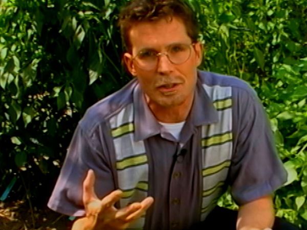 Mexico: One Plate at a Time with Rick Bayless - The Straight Cheese on Quesadillas