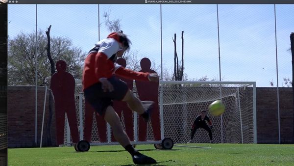 Fuerza Necaxa - El Líder