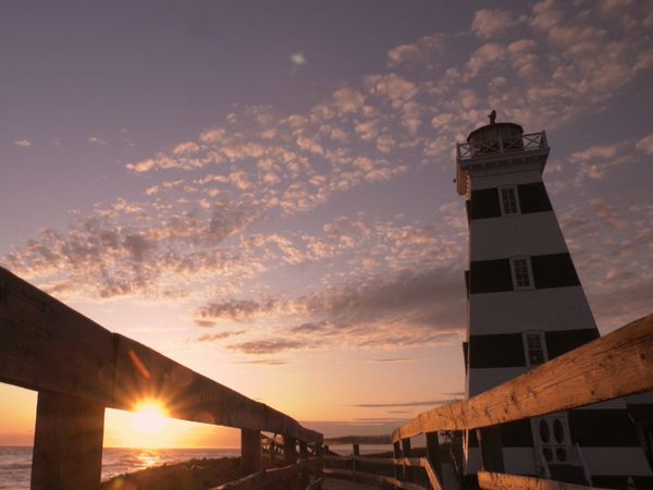 The Other Side - Lighthouse Willy