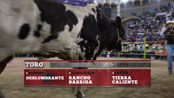 La Liga Mexicana de Jaripeo Profesional - Fecha 9