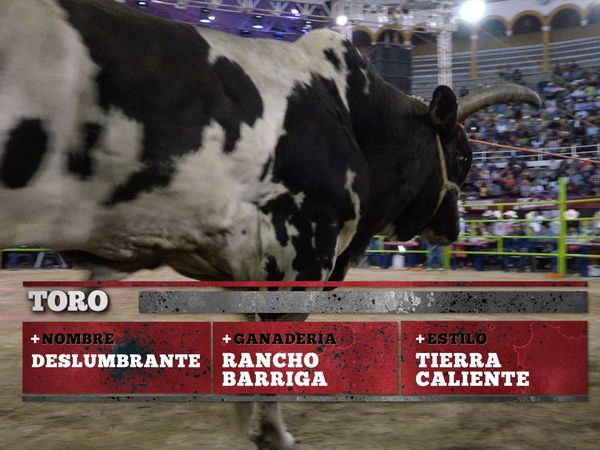 La Liga Mexicana de Jaripeo Profesional - Fecha 9