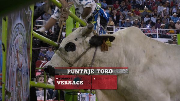 La Liga Mexicana de Jaripeo Profesional - Fecha 10