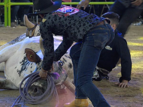 La Liga Mexicana de Jaripeo Profesional - Fecha 11
