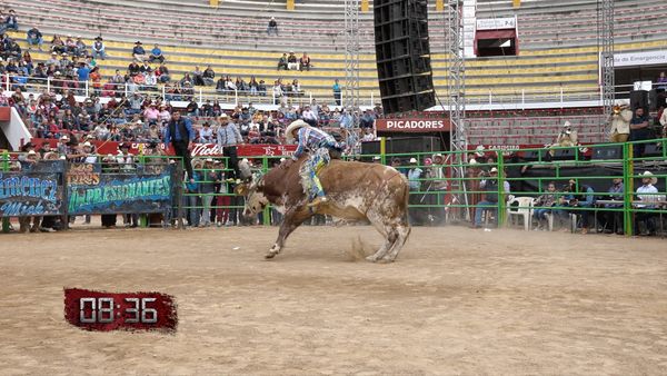 La Liga Mexicana de Jaripeo Profesional - Fecha 12