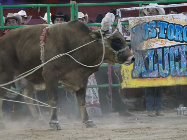 La Liga Mexicana de Jaripeo Profesional - Fecha 14