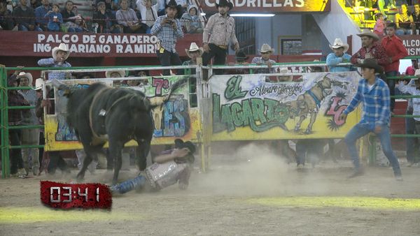 La Liga Mexicana de Jaripeo Profesional - Fecha 15