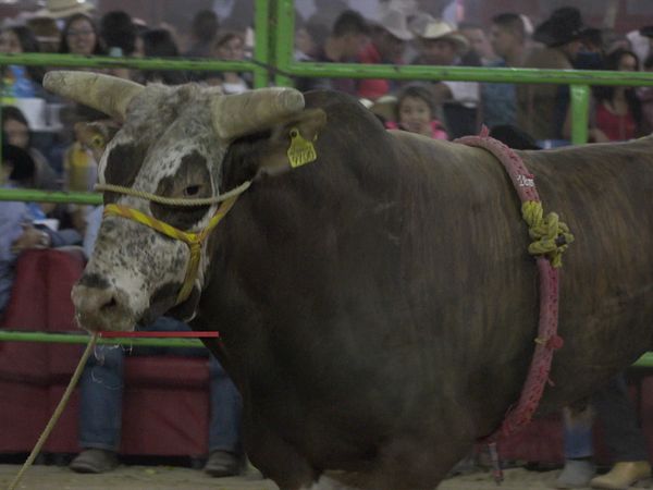 La Liga Mexicana de Jaripeo Profesional - Fecha 18