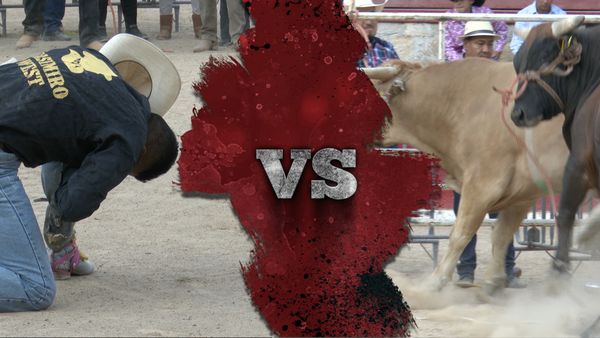 La Liga Mexicana de Jaripeo Profesional - Fecha 19