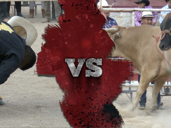 La Liga Mexicana de Jaripeo Profesional - Fecha 19