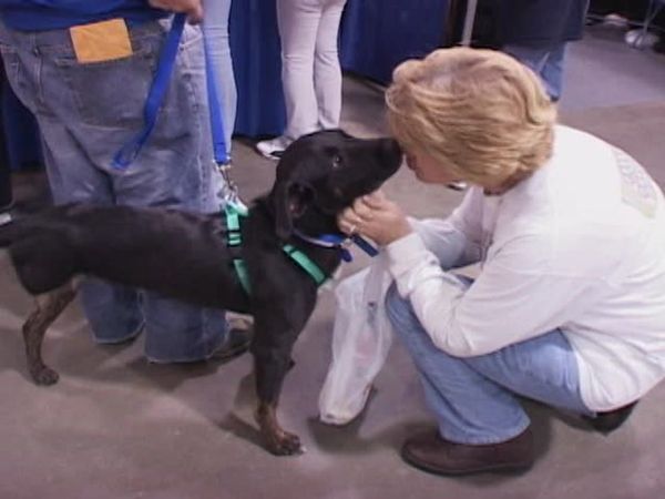 A Dog's Life - Episode 4