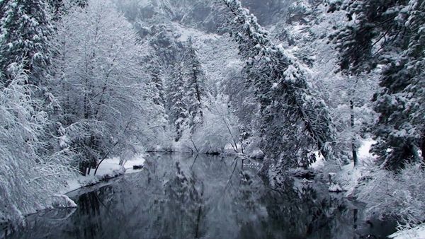Storm of Suspicion - Snow Way Out