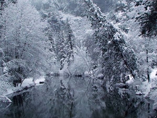 Storm of Suspicion - Snow Way Out