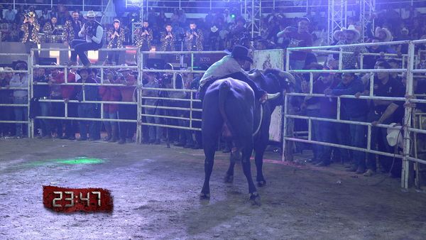 La Liga Mexicana de Jaripeo Profesional - Fecha 3