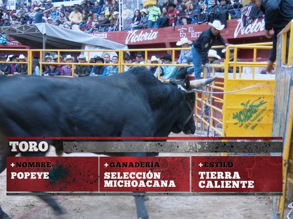 La Liga Mexicana de Jaripeo Profesional - Fecha 6